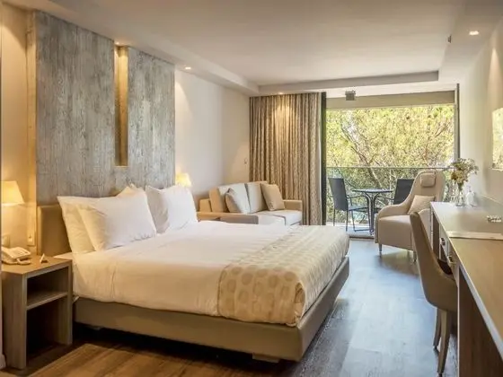 1 Çift ​​kişilik Yatak Superior Park View