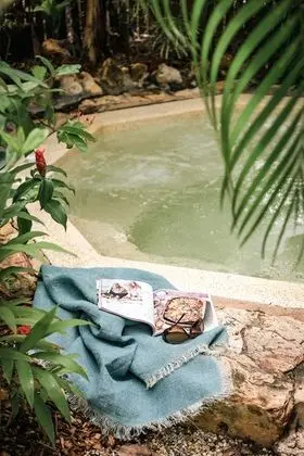 Executive Villa (Featuring Outdoor Plunge Spa)