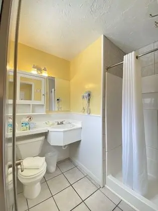 Standard Oda, 1 En Büyük (King) Boy Yatak, Sigara İçilmez, Özel Banyo