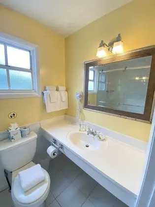 Standard Oda, 1 En Büyük (King) Boy Yatak, Sigara İçilmez, Özel Banyo