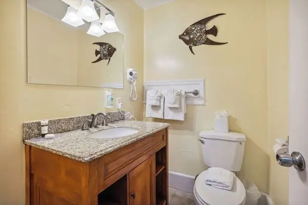 Standard Oda, 1 En Büyük (King) Boy Yatak, Sigara İçilmez, Özel Banyo