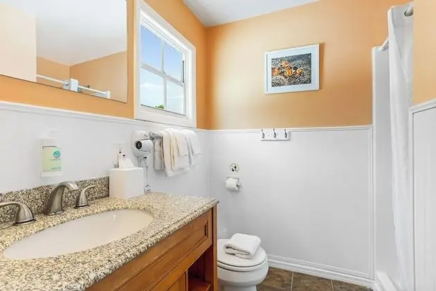 Standard Oda, 1 En Büyük (King) Boy Yatak, Sigara İçilmez, Özel Banyo