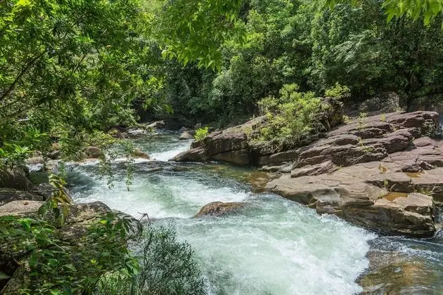 Luxury Süit, 1 En Büyük (King) Boy Yatak, Kişiye Özel Havuzlu, Nehir Manzaralı