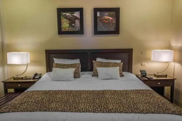 Habitación estándar, 1 cama King size, vista a la piscina