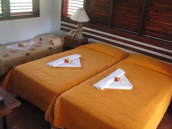 Tek Büyük Yataklı Oda (With Airconditioning)