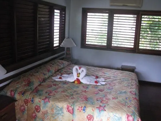 Tek Büyük Yataklı Oda (With Fan)