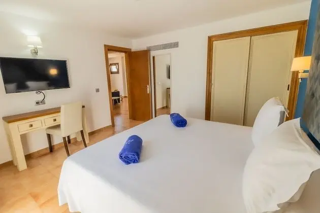 Süit
