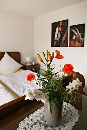 Kır Evi, 5 Yatak Odası, Teras (Heidi)