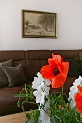 Kır Evi, 5 Yatak Odası, Teras (Heidi)