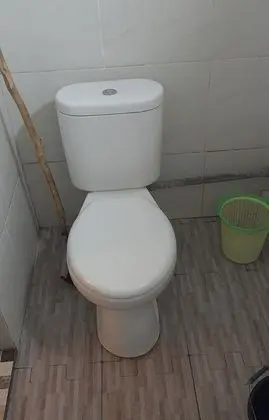 Standard Oda (Fan)