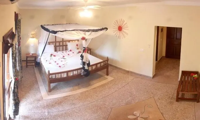 Junior Süit