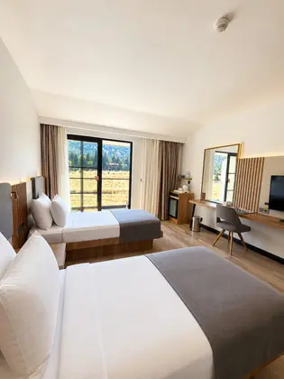 Superior,dağ Veya Havuz Manzaralı,balkonlu