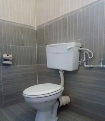 Standard Oda