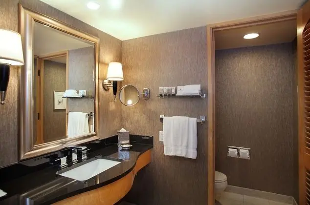 Deluxe Tek Büyük Yataklı Oda, Şehir Manzaralı