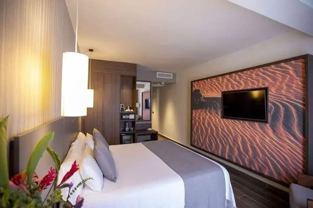 Standard Tek Büyük Yataklı Oda, Şehir Manzaralı