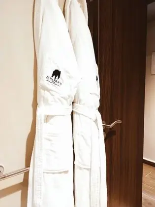 Standard Tek Büyük Yataklı Oda, Teras