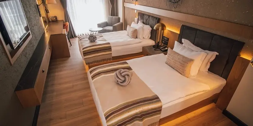 Deluxe İki Ayrı Yataklı Oda