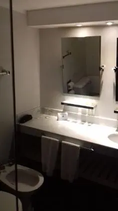 Deluxe Oda, 1 En Büyük (King) Boy Yatak, Göl Manzaralı