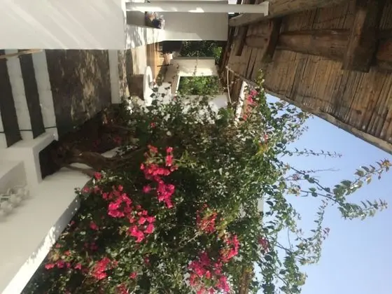 Üç Kişilik Oda