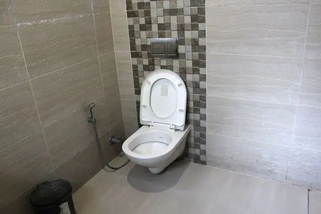 Deluxe Oda, 1 Çift Kişilik Yatak