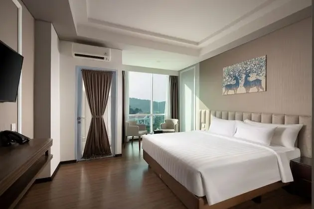 Deluxe Tek Büyük Yataklı Oda