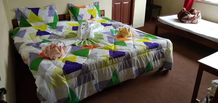 Deluxe Üç Kişilik Oda, 3 Tek Kişilik Yatak, Şehir Manzaralı