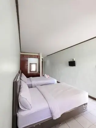Deluxe İki Ayrı Yataklı Oda, Birden Çok Yatak, Özel Banyo, Göl Manzaralı