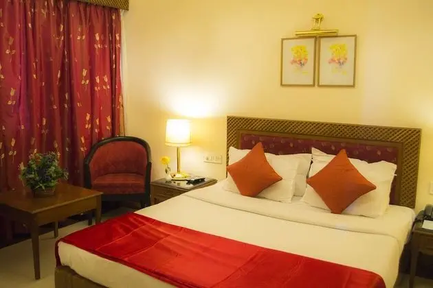 Deluxe Oda, 1 Çift Kişilik Yatak (Executive)