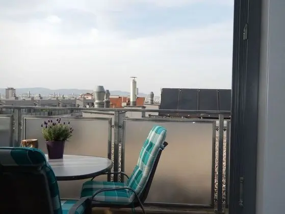 Deluxe Çatı Katı Süiti (Penthouse), 1 Yatak Odası, Teras, Şehir Manzaralı