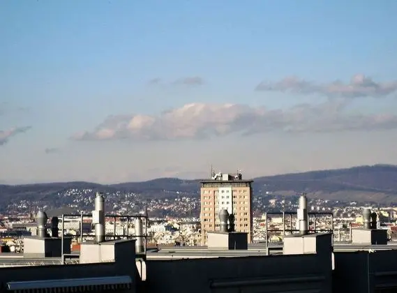 Deluxe Çatı Katı Süiti (Penthouse), 1 Yatak Odası, Teras, Şehir Manzaralı