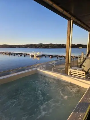 Rorbusuite Exclusive