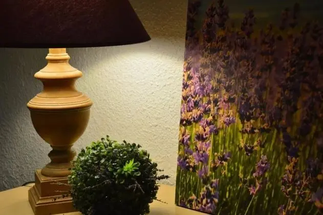 Economy Tek Büyük Yataklı Oda