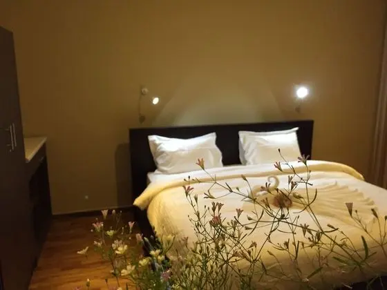 Deluxe Tek Büyük Yataklı Oda, 1 Büyük (Queen) Boy Yatak, Park Manzaralı, Bahçeli