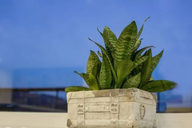 Luxury Ev, 3 Yatak Odası, Deniz Manzaralı