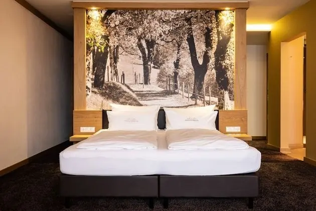 Deluxe Stüdyo Süit, 1 Çift Kişilik Yatak, Anti Alerjik, Dağ Manzaralı