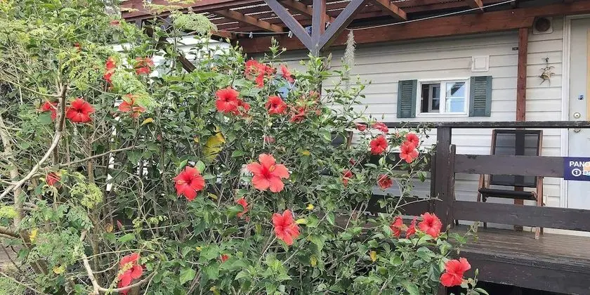 Kır Evi, Sigara İçilmez, Okyanus Manzaralı (Double Room)