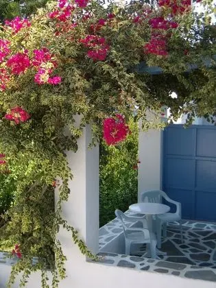 Standard Üç Kişilik Oda