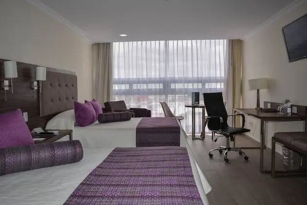 Executive Oda, 2 Çift Kişilik Yatak, Şehir Manzaralı