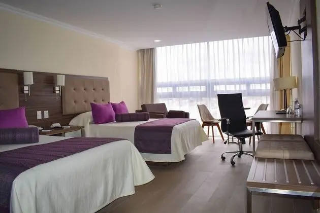 Executive Oda, 2 Çift Kişilik Yatak, Şehir Manzaralı