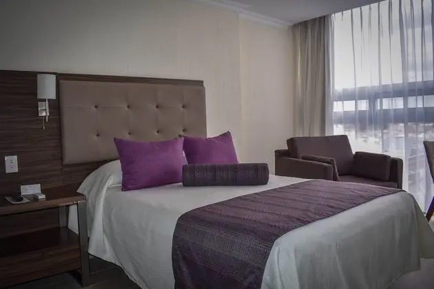 Executive Oda, 2 Çift Kişilik Yatak, Şehir Manzaralı