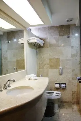 Executive Oda, 2 Çift Kişilik Yatak, Şehir Manzaralı