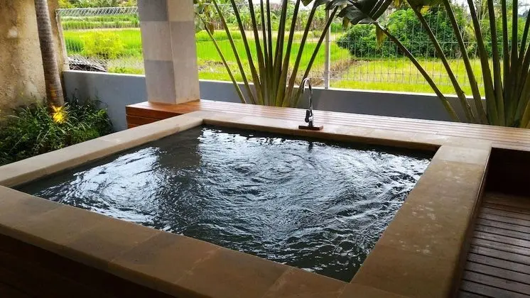 Two Bedroom Jacuzzi Private Villa