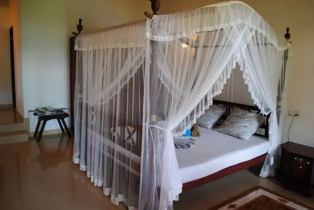 Superior Bungalov, Plaj Manzaralı