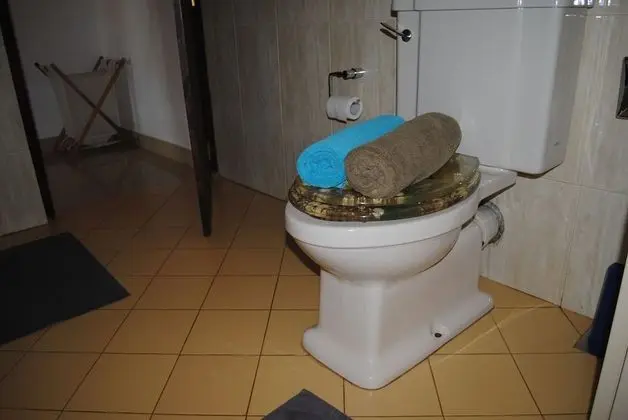 Superior Tek Büyük veya İki Ayrı Yataklı Oda