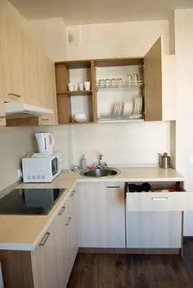 Deluxe Apart Daire, 1 En Büyük (King) Boy Yatak ve Çekyat, Mutfak, Park Manzaralı