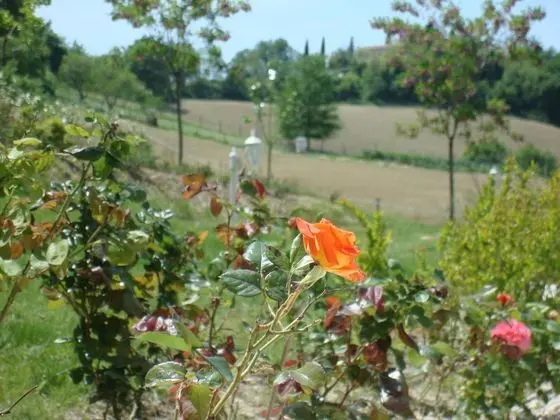 Villa, 5 Yatak Odası, Balkon