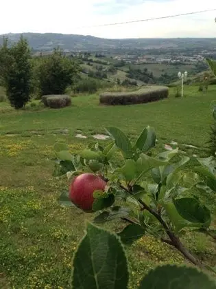Villa, 5 Yatak Odası, Balkon