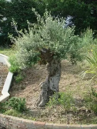 Villa, 5 Yatak Odası, Balkon