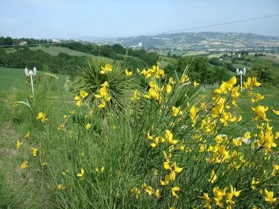 Villa, 5 Yatak Odası, Balkon