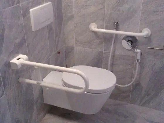 Superior Tek Büyük Yataklı Oda (Disability Access)